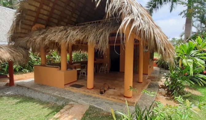 Casa 3 amigos-Palm roofed house