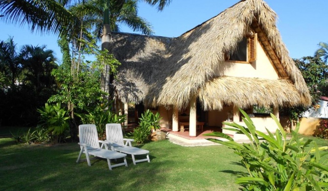 Palm-covered house in the tropical -Casa Oli