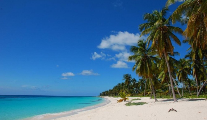 Saona Beach House - Bed and Breakfast