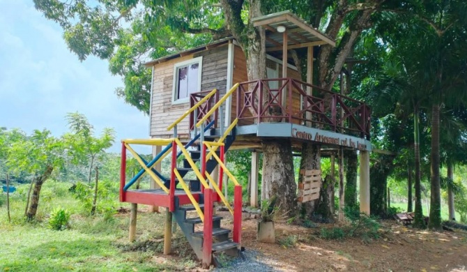 Casa del Árbol ecológica.