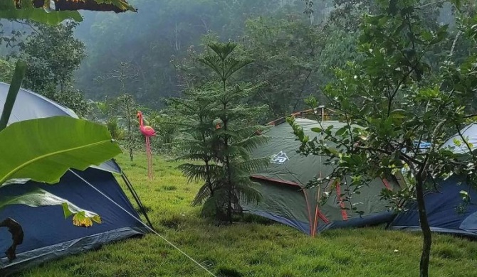 Room in Lodge - Lechuza River Campingcamping House