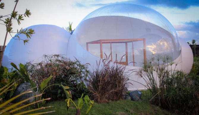 Green Land Bubble Glamping