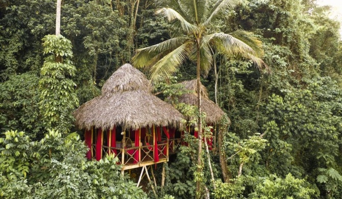 Dominican Tree House Village