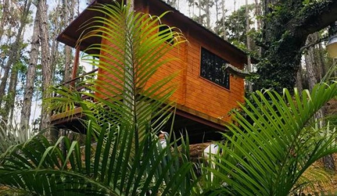 Casa de Arbol, Rancho Tierra Alta